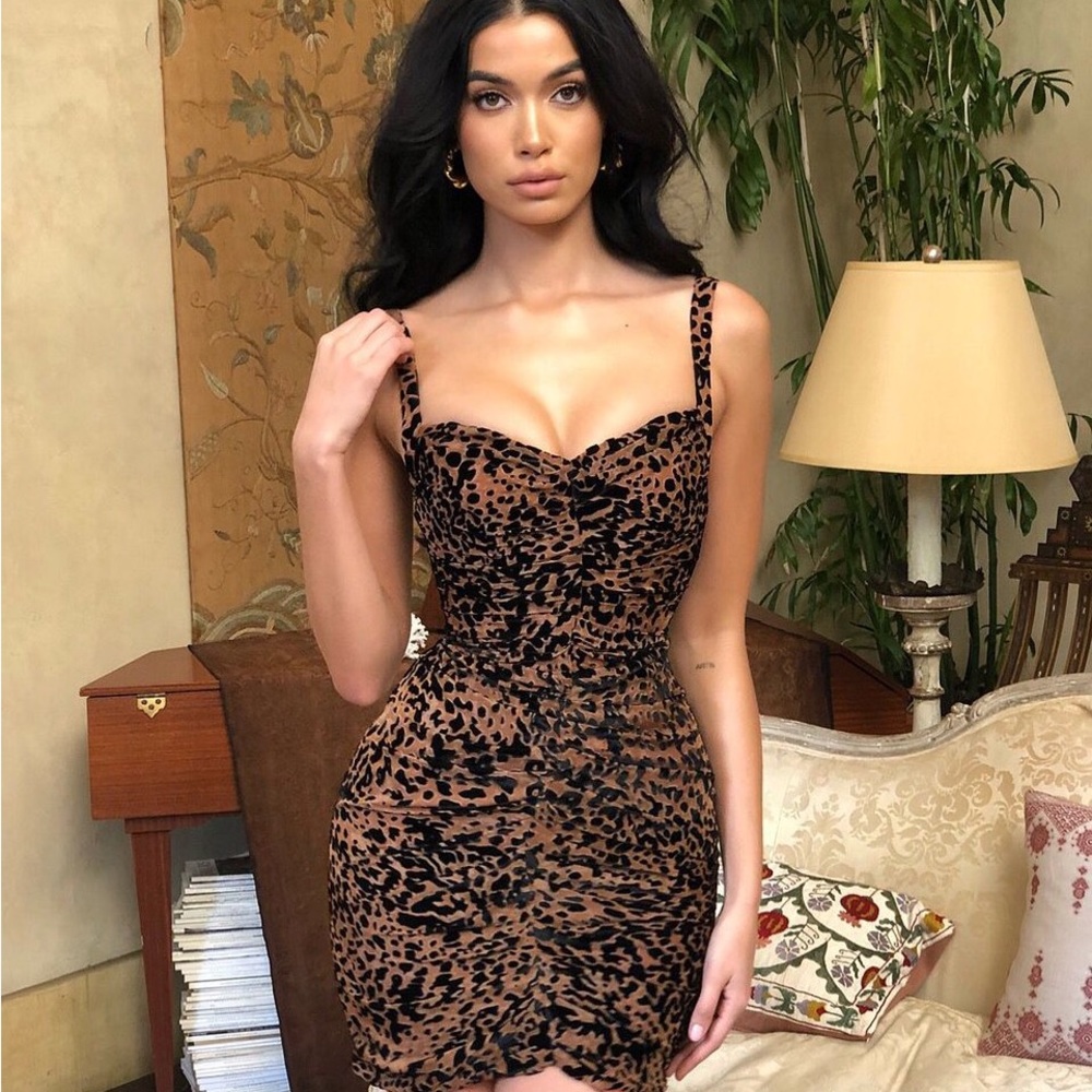 RARE HOUSE OF CB 'Cleo' Leopard Print Corset Mesh Dress